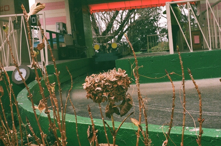 スロープシューターとあじさい　フィルムデビュー