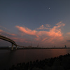 いなばポートライン　夕日