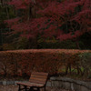 紅葉とベンチ　オールドレンズ