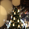 クリスマスツリー