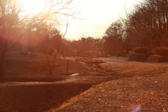 夕方の散歩道　