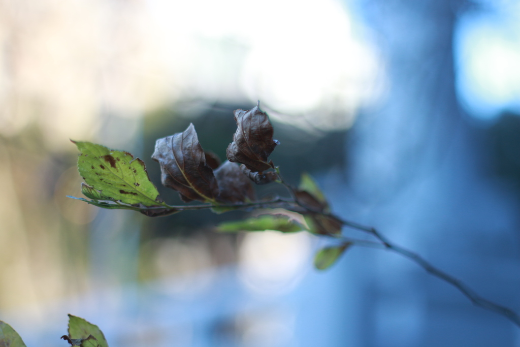 出勤前　リバーパーク　その②