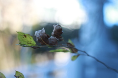 出勤前　リバーパーク　その②