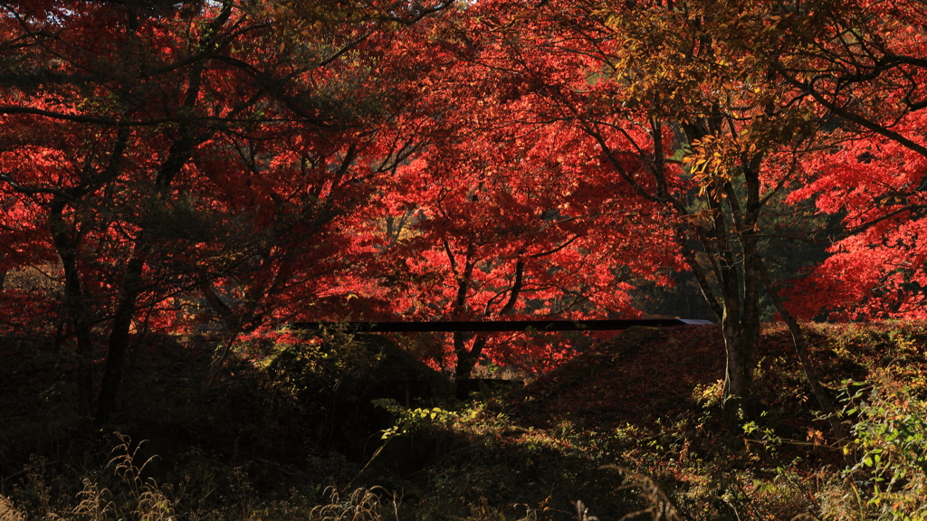 一本橋