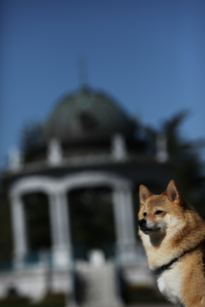 コロン君は聖地へ　鶴舞公園