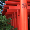 納
