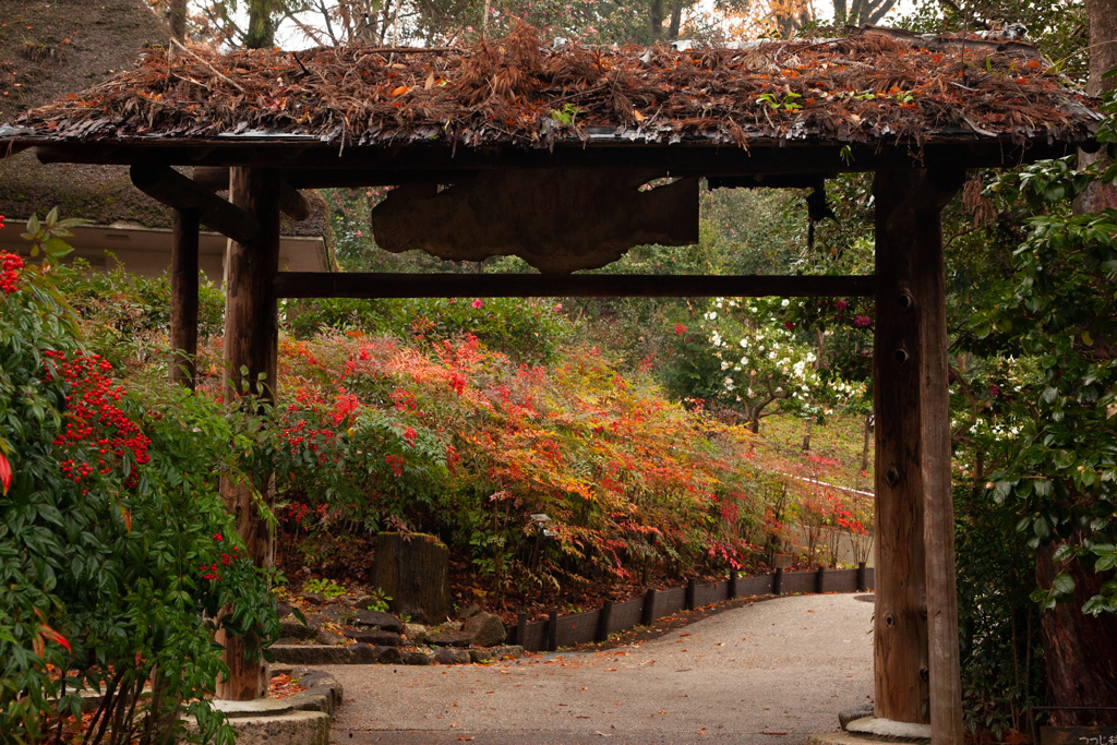 なんてん門　植物園