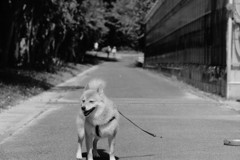 もちろんコロン君もね　