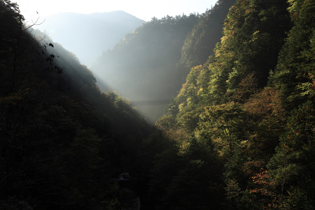 渓谷の朝　