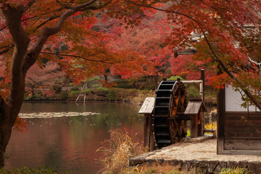 紅葉と水車小屋　