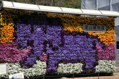象さん　お花でできてます　東山動植物園