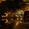 紅葉ライトアップ　DAY３　水車小屋