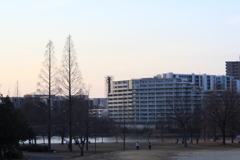 夕方の平和公園　タクマー