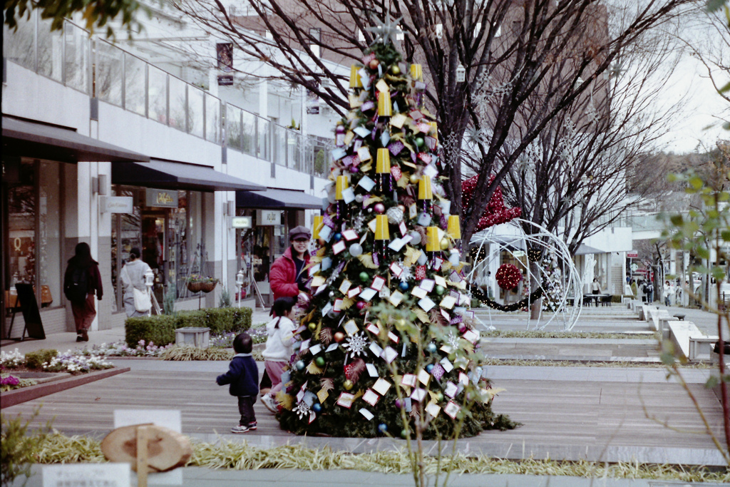 クリスマスツリー　フィルム