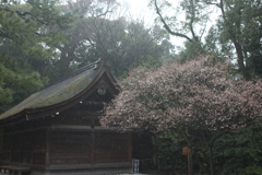 雨の熱田神宮　その①