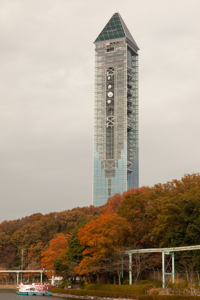 東山タワー　紅葉