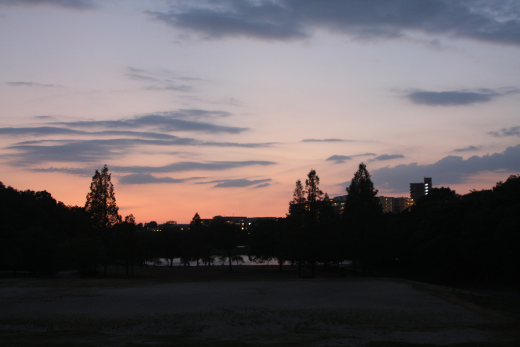 CANON 40D帰還　＼(^o^)／