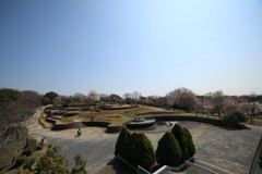 お花畑　東山動植物園　サムヤン広角14mm