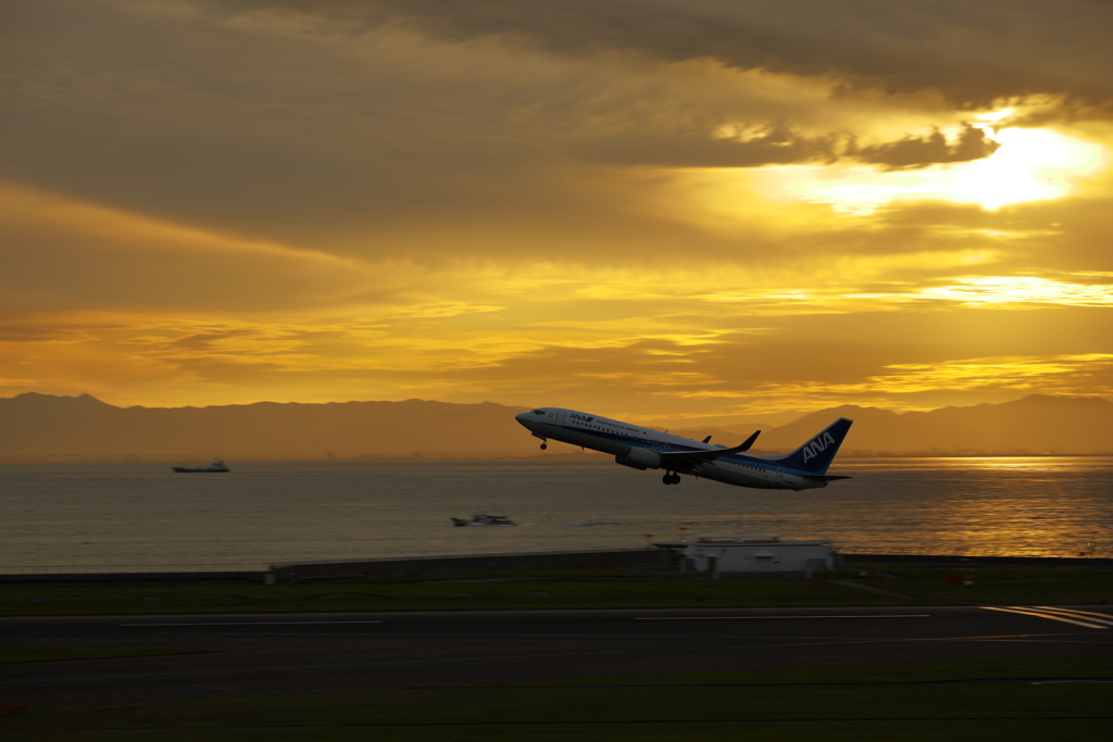 夕日のセントレア