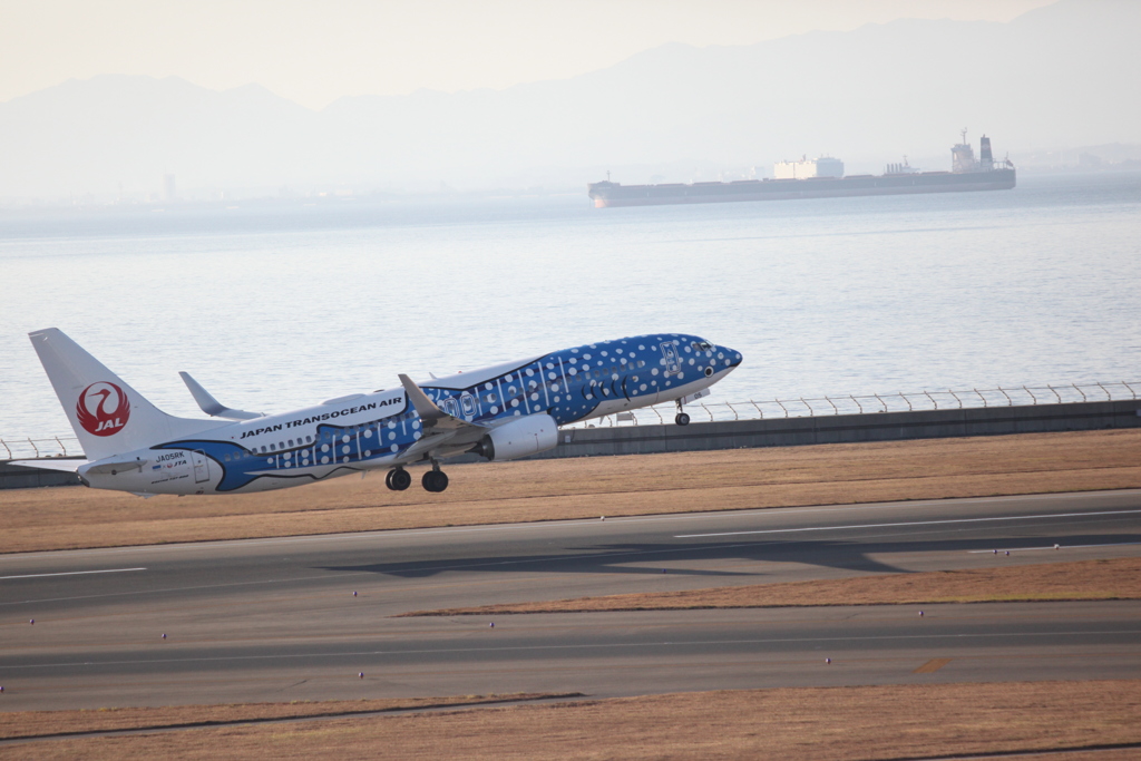 飛行機デビュー　セントレア　ジンベイジェット