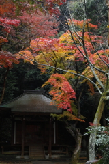 定光寺　紅葉