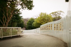 工事現場のパネル　フィルムデビュー　東山動植物園