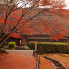 雨の紅葉と合掌造り