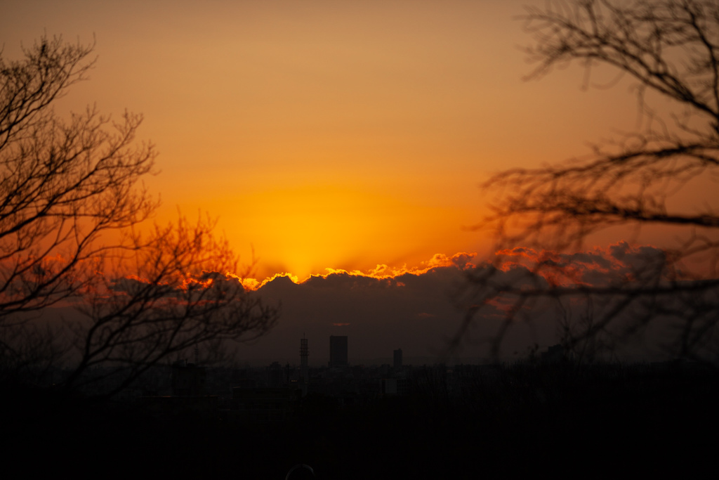 夕日　平和堂より