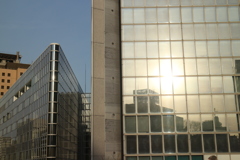 朝日のうつりこみ