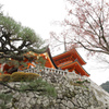 清水寺　