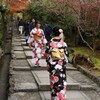 京都スナップ　寧々のご近所