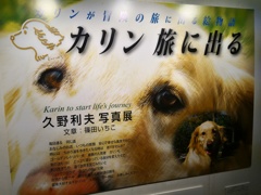 写真展　カリン旅に出る　