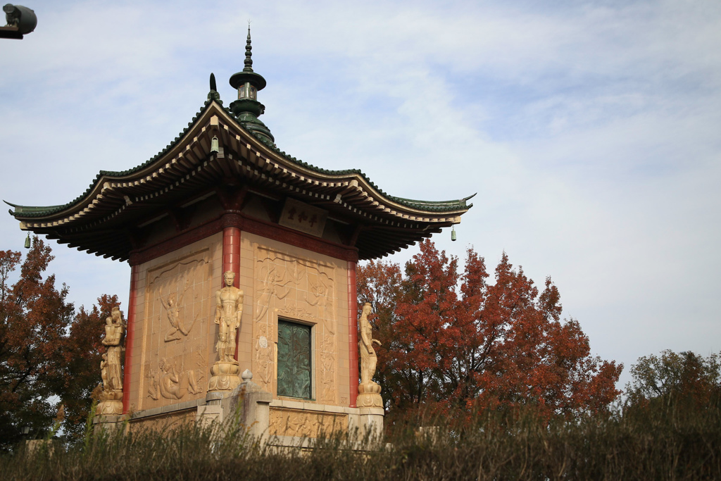 平和堂の紅葉