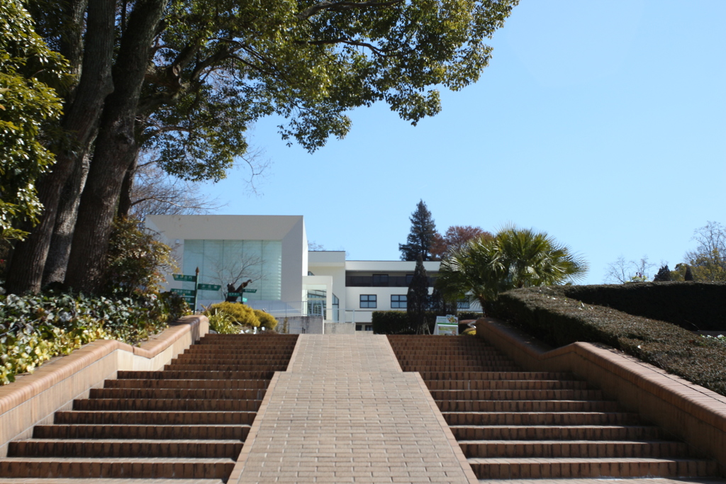 階段　東山動植物園　FL28mmF3.5