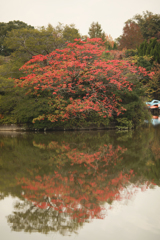 大高緑地公園 紅葉2