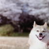 笑顔　ちょっとオーバーでしたが・・・