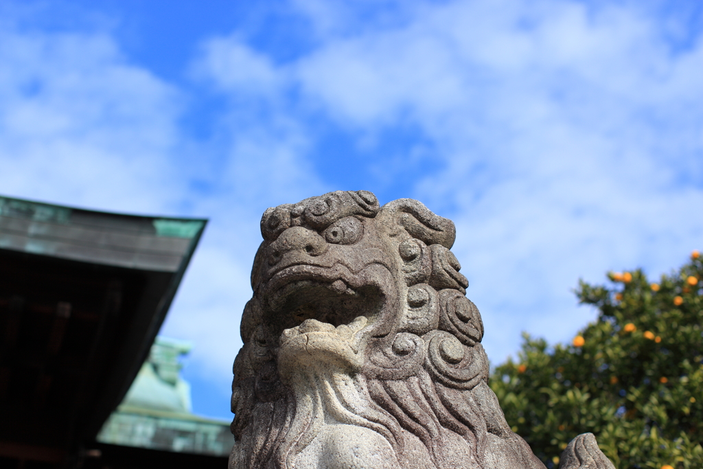 狛犬と青空