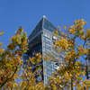 東山タワー　紅葉