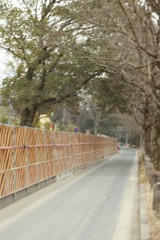 工事現場のパネルシリーズ　東山動植物園