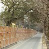 工事現場のパネルシリーズ　東山動植物園
