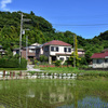 里山の夏