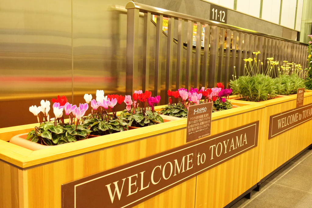 花々に送られて