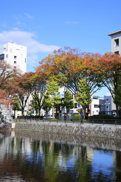 堀ばたの紅葉