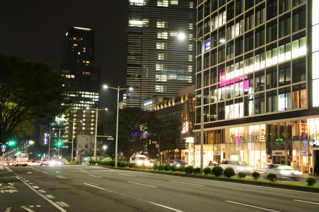 東二番丁通りの夜