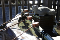 光の中の水