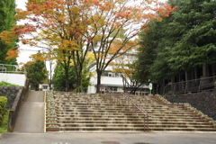 石段の下から