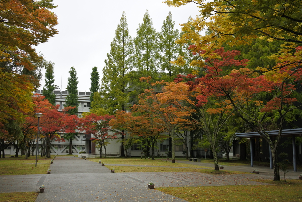 大学構内にて