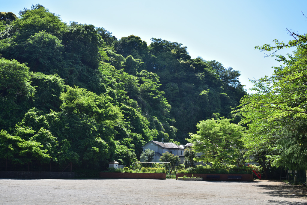 山の中の公園