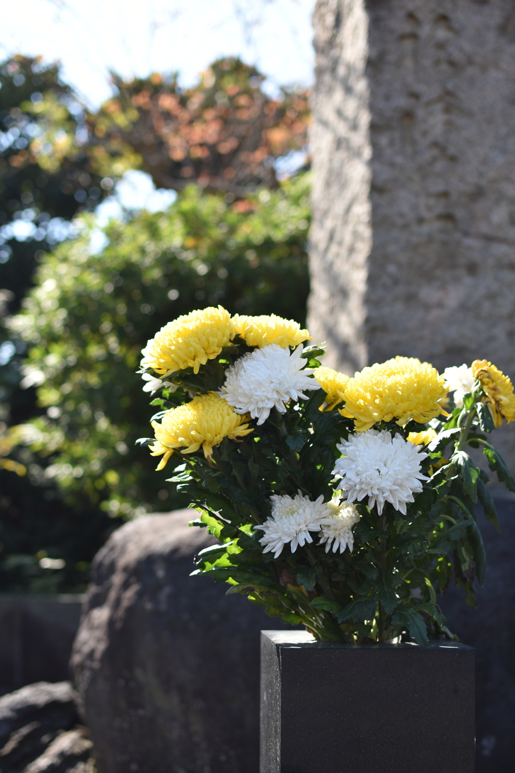 慰霊碑の菊