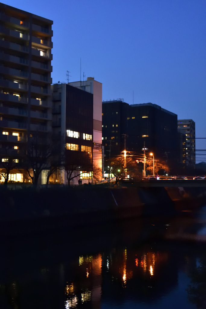 都会の川